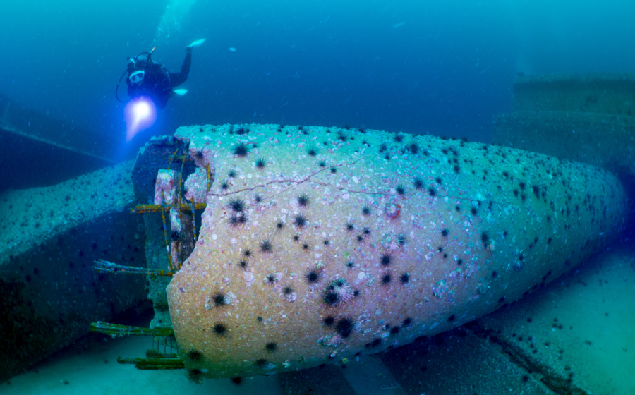 Three mile bridge rubble scuba diving